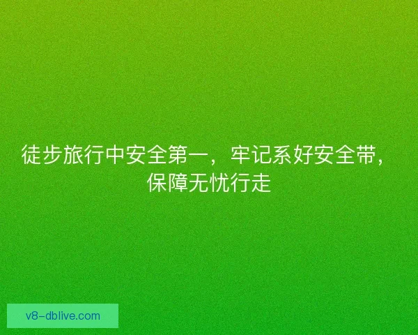 徒步旅行中安全第一,牢记系好安全带,保障无忧行走 徒步旅行中安全第一,牢记系好安全带,保障无忧行走