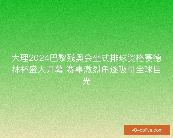 大理2024巴黎残奥会坐式排球资格赛德林杯盛大开幕 赛事激烈角逐吸引全球目光