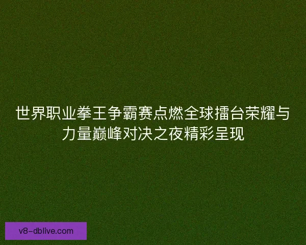 世界职业拳王争霸赛点燃全球擂台荣耀与力量巅峰对决之夜精彩呈现